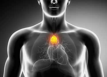 Thymoma and Myasthenia Gravis Treatment In Gurgaon and Delhi Thymoma and Myasthenia Gravis Treatment In Gurgaon and Delhi